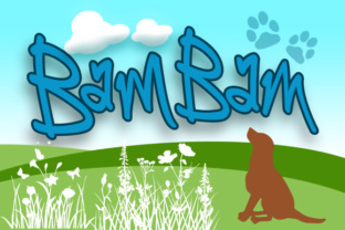 BamBam in Modern Graphic Design