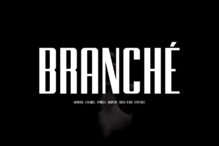 Branche: A Smarter Way to Organize Your Ideas and Projects