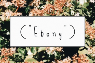 Ebony: The Timeless Material Shaping Modern Design and Craftsmanship