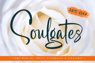 Elevate Your Brand with Soulgates