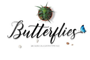 Evaluating Butterflies Script: A Practical Guide for Developers and Automation Enthusiasts
