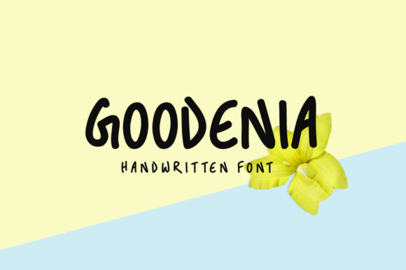 Goodenia: A Resilient Native Plant Redefining Modern Gardening and Landscaping