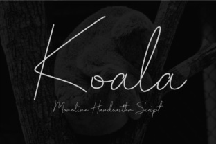 Koala Script: Your Silent Partner in Process Automation