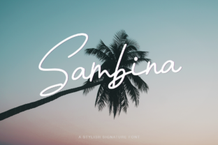Sambina: A Practical Guide to Integrating It Into Your Workflow