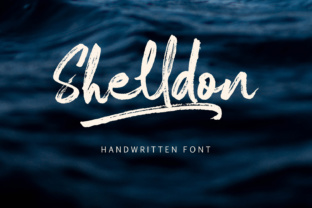 Shelldon: A Practical Tool for Modern Productivity and Organization