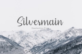 Silvermain: Streamlining Digital Workflows for Creators and Professionals
