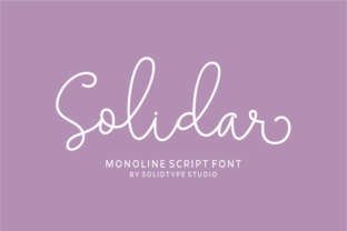 Solidar: A Practical Guide to Collaborative Support