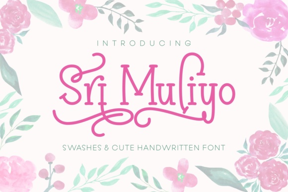 Sri Muliyo: A Practical Framework for Smarter Decision-Making