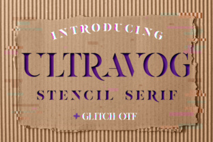 Ultravog in Practice: Evaluating a Creative Asset Platform for Professionals