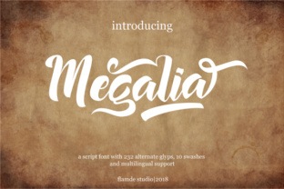 Understanding Megalia: Reshaping Professional Collaboration and Creative Workflows