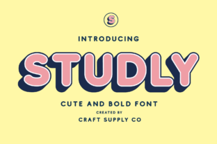 Understanding the Studly Family: Building Strength and Resilience at Home