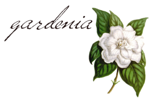Versitia: Creative Possibilities